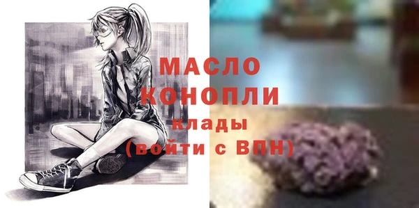 дмт Елабуга