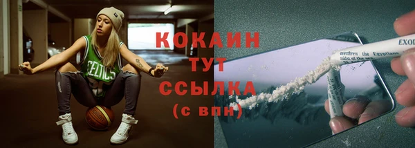 тгк Елизово