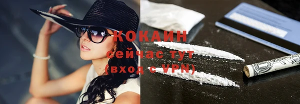 дмт Елабуга