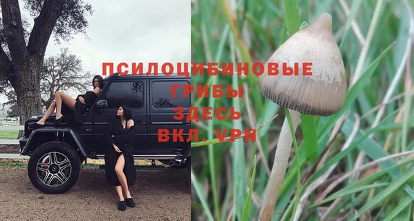 дмт Елабуга
