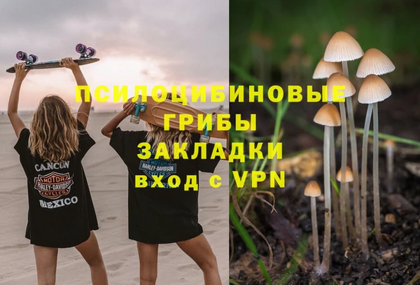 мяу мяу мука Ельня