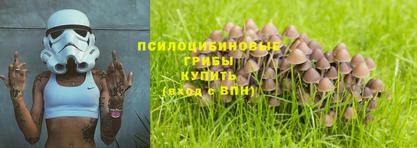 мяу мяу мука Ельня