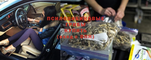 дмт Елабуга