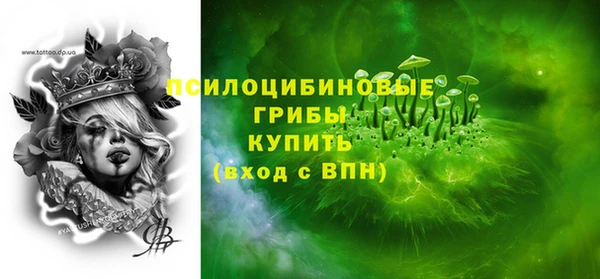 дмт Елабуга