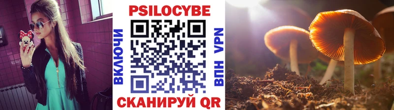 Галлюциногенные грибы мицелий  Купить закладки  Мценск 