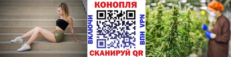 Купить где  Мценск  Конопля индика 